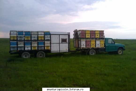 ARO 320 cu 20 familii albine platforma apicola cu 24 familii albine