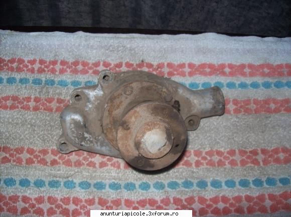 vand motor diesel ifa parte din piesele rezerva: pompa apa