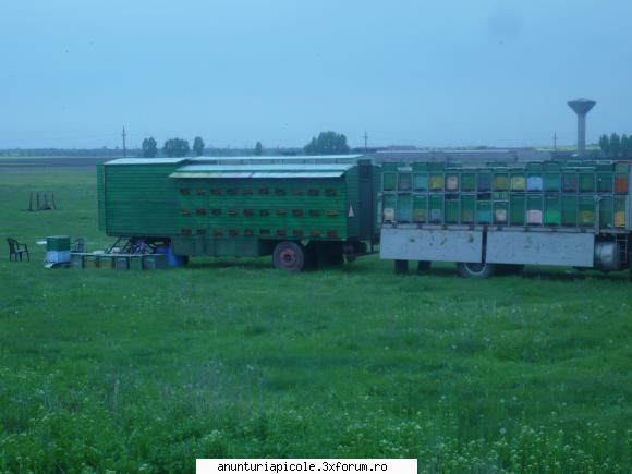 pavilon apicol vanzare pavilon apicol vanzare cap.60 famili loc dormit scos miere. lazi tot. fara