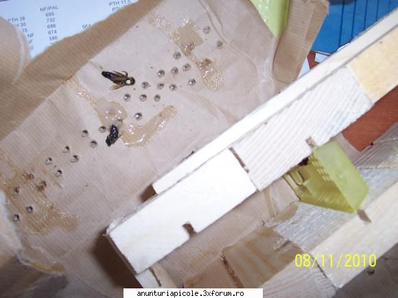 matci azi venit matcile galben??? pus punct...am cautat prin aia aveau gand aveau2. curs moara