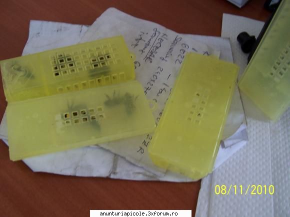 shi inca ceva...ai trimis custi vedea cum capacelele au fost fotzate la o alta erau patru..... itzi