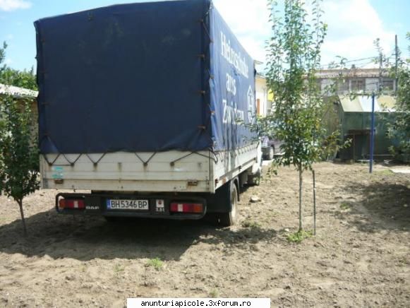 camioneta daf 400 poza