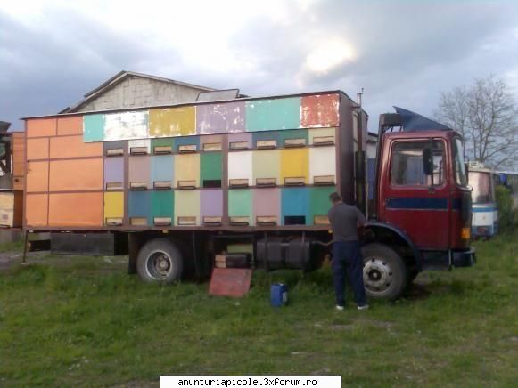 camion specila apicol saviem stupina lazi (pe pat cald). cabana dotata inox &nbsp; &nbsp; &nbsp;