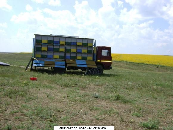 vand camion marca roman (raba) cu proiect pentru a putea fi omologat ca apicol, an fabricatie 1985,