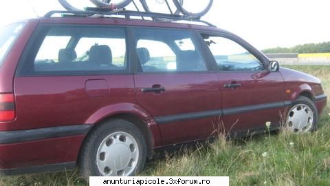 vand sau schimb familii albine passat poze