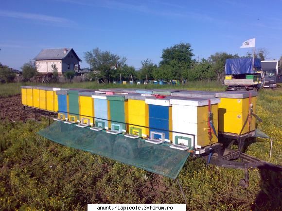 vand platforma apicola stare f. buna. x 1,8m, capacitate 24 cutii verticale. pret. 2000 euro. jud.