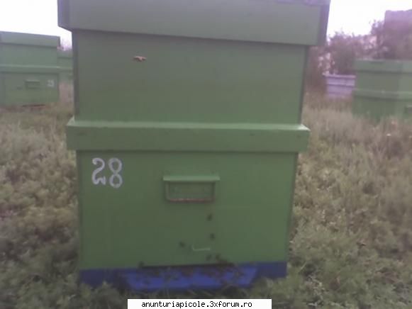 --de unde sunteti ??? si  de ce nu vizitati anunturile ??sunati 0721331309 ialomita buc cu lada si