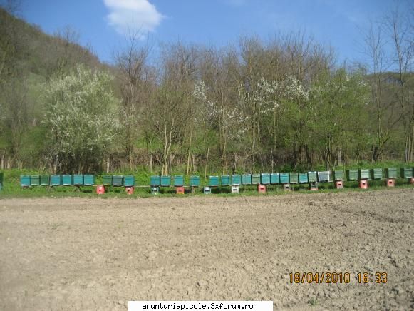 :hi:  :hi:  :hi:  :hi: vind albine