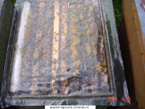 :hi:  :hi:  :hi:  :hi:  :hi: vand 25 stupi