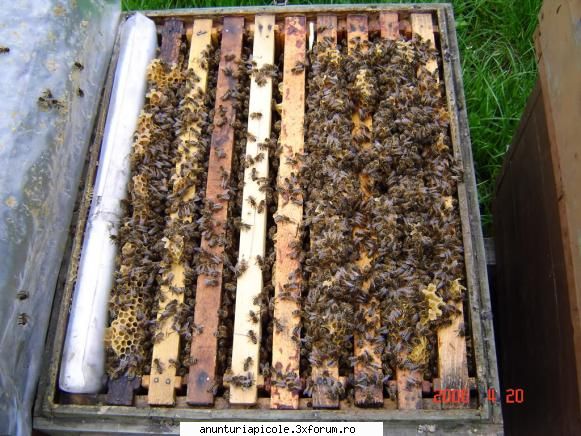 vand stupi &nbsp; &nbsp;