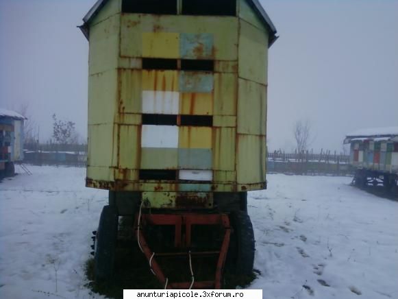 poza 1 cumpar pavilin apicol