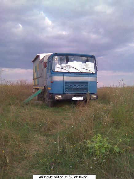 camion transport stupi alta