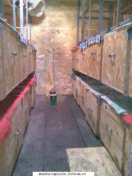 camion transport stupi alta