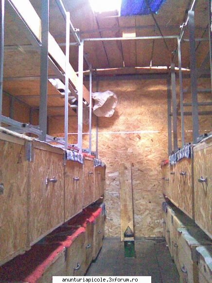 camion transport stupi alta