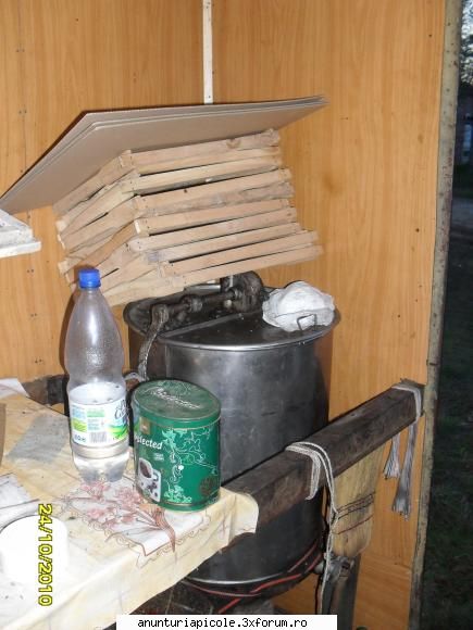 vand pavilion apicol poza interior: