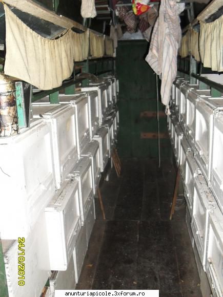 vand pavilion apicol poza interior: