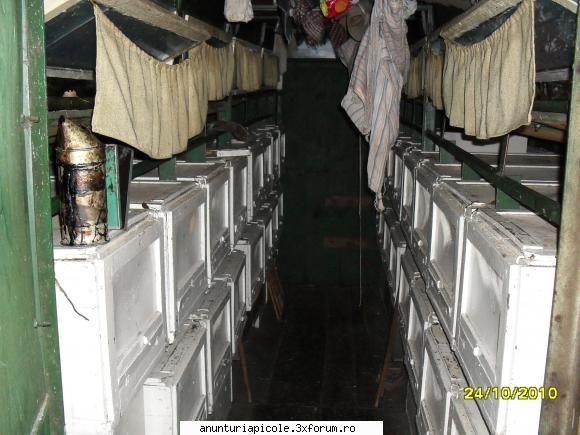 vand pavilion apicol poza interior: