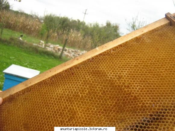 vand stupi noi 100 rame cladite anunt valabil &nbsp;