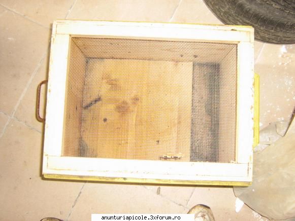 vand stupi noi 100 rame cladite alta cuibul