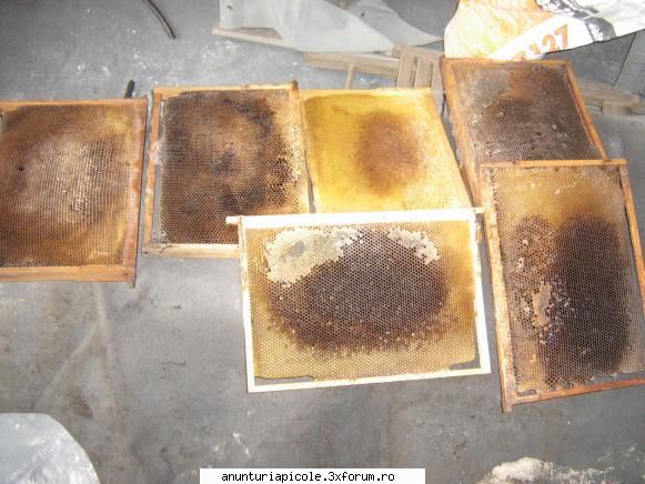 vand stupi noi 100 rame cladite oferta 130 rame 1/1 famili rame stupi ==2000 ron