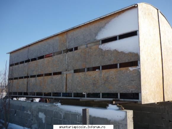 rastel pentru stupi tel:! 0754944048