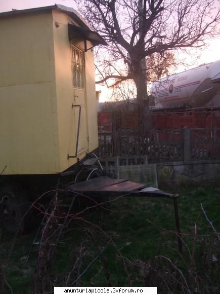 vanzare pavilion apicol alta