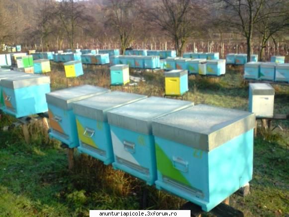 vand carpatine giovanni scris:ti dat adresa lincurile profilul meu durat ceva carc sant slabut