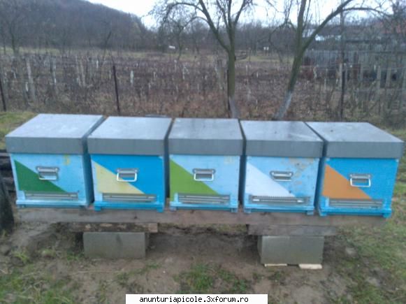 vand carpatine ccavram scris:va salut. sunt cristi severin poze