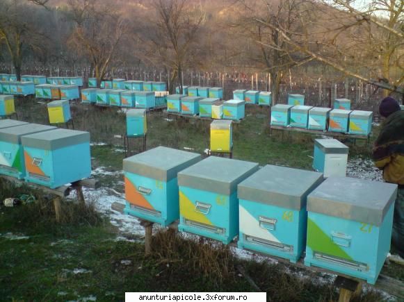 cumpar familii, cutii, utilaje, carti, pavilion s.a. dan casalean - bucuresti - tel. tot ce va ce si