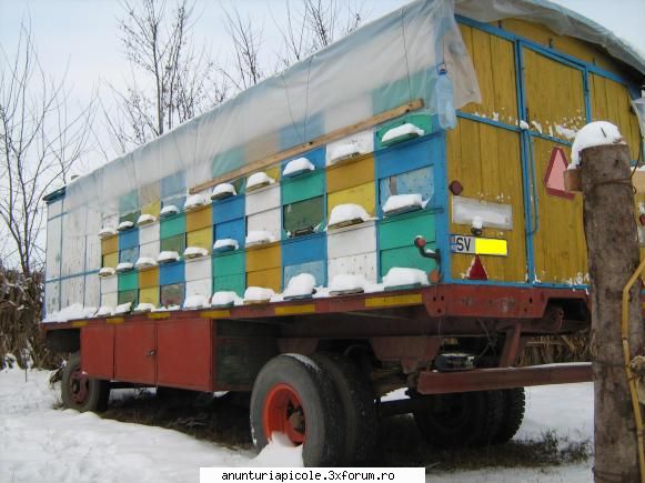 vand pavilion apicol 60 stupi itp valabil 2013, stare buna suceava telefon cumpar pavilion