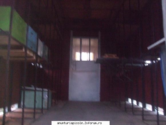 vanzare pavilion apicol poza dar care vede foarte cealalta revin mai multe foto din interior