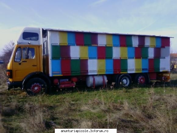 sa ai  noroc de asa ceva cumpar apicola