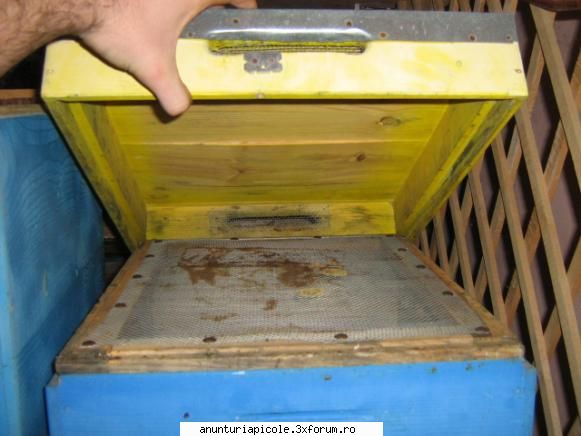 vand stupi noi 100 rame cladite