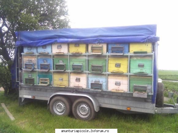 vand remorca 48 stupi,2 axe,3500 kg total,880 42 stupi orizontali si 6 mici pe 10 rame(in partea din