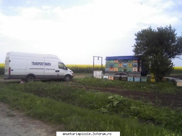 remorca apicola axe,pt stupi... alta...