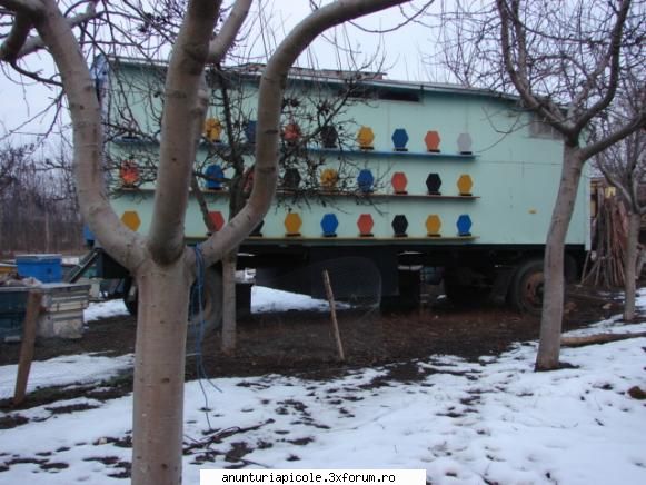 foto azi 10 01 2011 vind vagon apicol