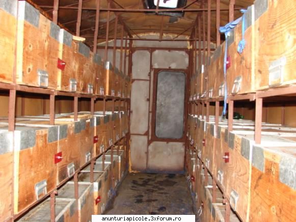 vind vagon apicol interior