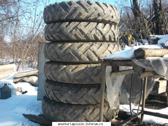cauciucuri cu janta 900/20 x4 buc
                               850/20 x 2buc 
pret 100 ron