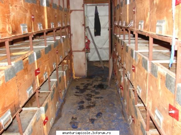 vagonul se afla in loc dolj .are capacitate  60 stupi orizontali pe 16 rame (aproape noi) ,caucucuri