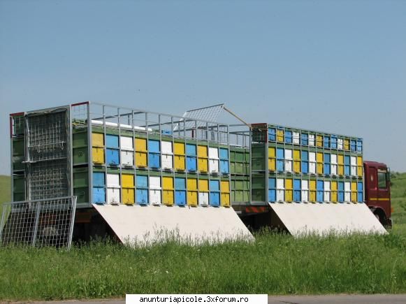 vand camion roman + remorca cu stelaj, capacitate 100 lazi (9+9 rame, dadant) si 100 de lazi pe