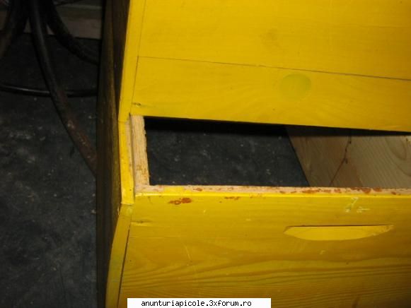 vand stupi noi 100 rame cladite anunt valabil cele cuti orizontale sunt rame podisor scandurele