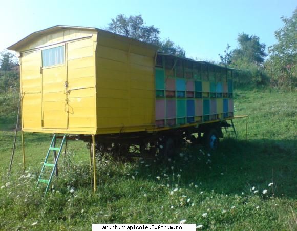 vand familii de albine cu sau fara fiecare familie pe 10 rame. toate sunt facute la zi. pret 350 lei