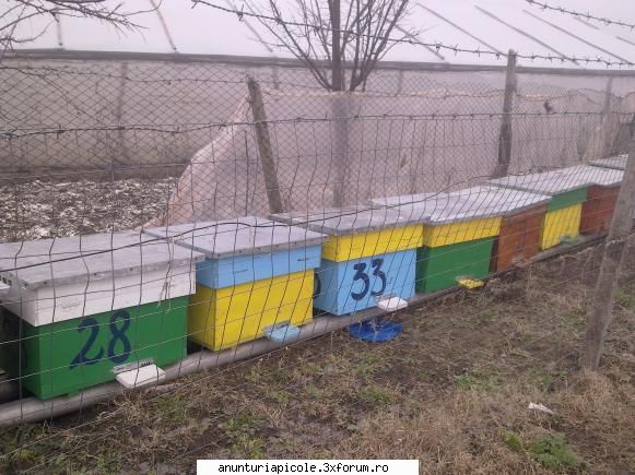 am revenit cu poze :) vand 10 familii de albine