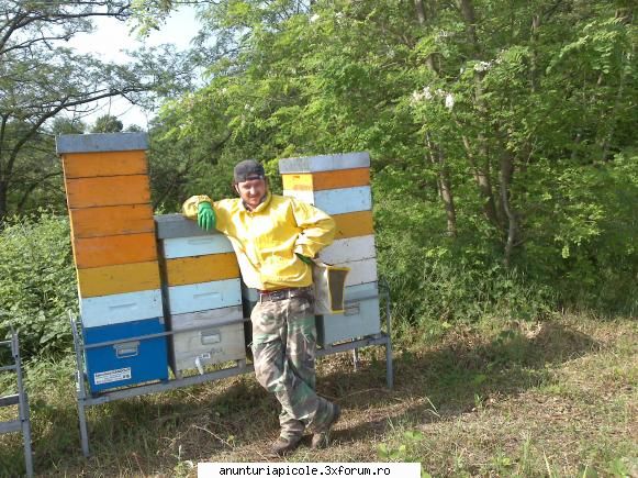 in primavara acestui an as dori sa 4-5 matci ma poate ajuta .  vere, din caucaz e c am greu,cel