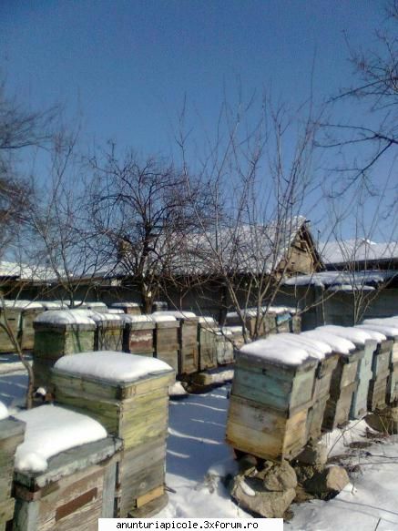 b se vinde 100 de familii de albine si cutiile aferente .