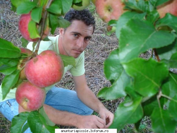 cumpar 60 familii de albine  pentru cei interesati va rog sa ma contactati pe nr de tel 0765532929