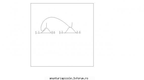 cumpar incercat schitez ceva...nu stiu daca intelege ceva din ea...cred mai bine pun poza.