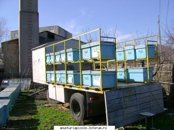 poza este mai veche...el este acum. si vopsit. vand pavilion apicol