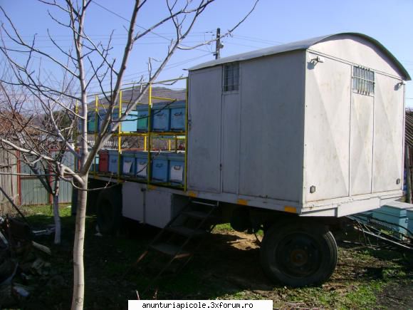 vand pavilion apicol poza