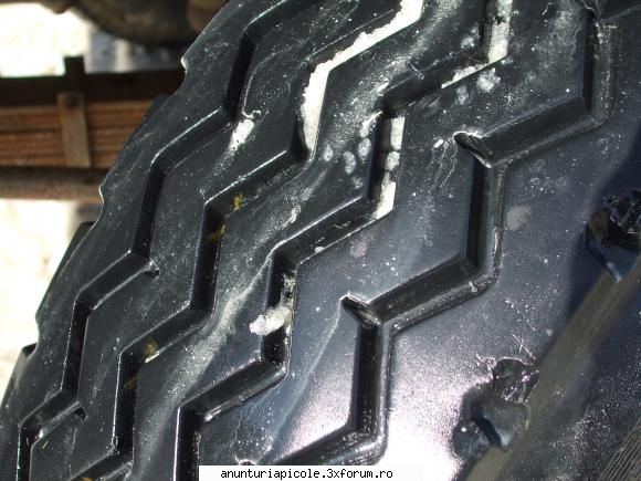 vand apicola pun poza anvelopa fata